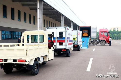 禹城松果三輪車 創(chuàng)新驅(qū)動(dòng)產(chǎn)品出口與本地汽車出租服務(wù)新業(yè)態(tài)